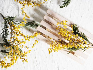 Spa teması, bahar, güzellik. Beyaz desenli arka planda mimoza dallarıyla çevrili ahşap bir tezgah..