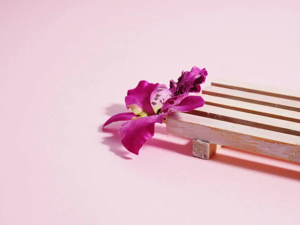 Μινιμαλισμός Ένα Λουλούδι Μια Ξύλινη Βάση Ροζ Φόντο — Φωτογραφία Αρχείου