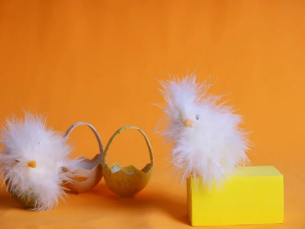 Small White Chicken Next Colored Eggs Easter Orange — Stock Photo, Image