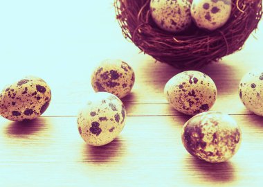 Ağaç bir arka planda duran bıldırcın yumurtaları, Paskalya için bir kartpostal..