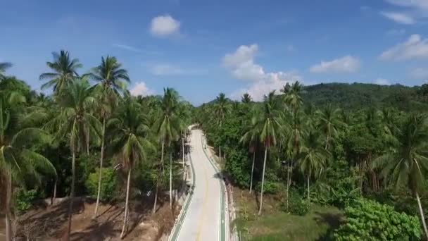 Air jungle road view of Koh Phangan, Thailand — стоковое видео