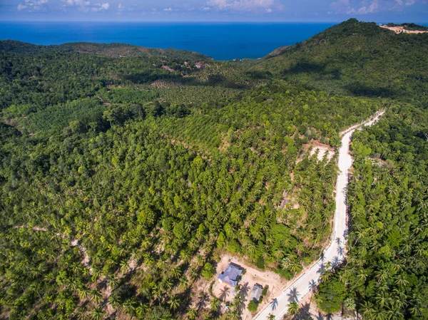 Luftaufnahme des Dschungels von Koh Phangan, Thailand — Stockfoto