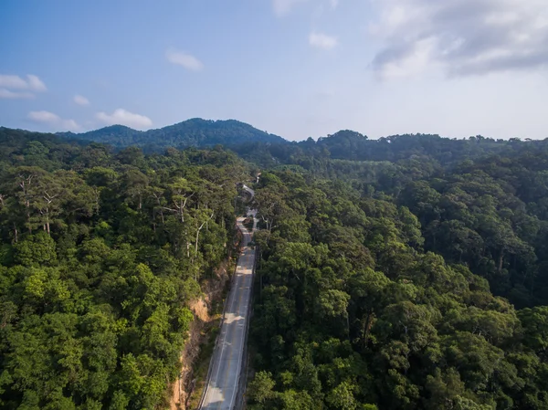 Vue aérienne sur la jungle de Koh Phangan, Thaïlande — Photo