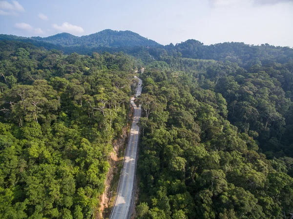 パンガン島, タイの空中のジャングル道を表示 — ストック写真
