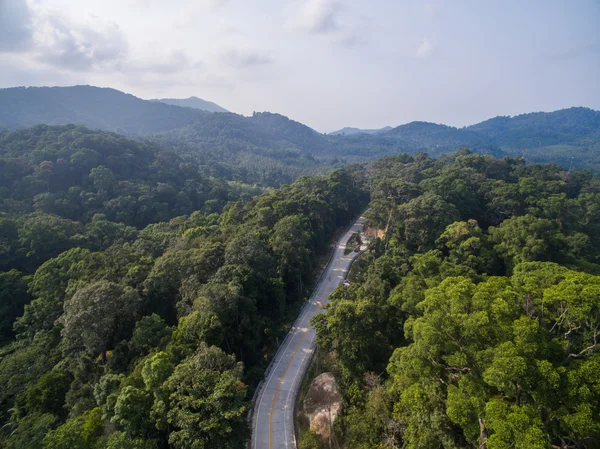 Vue aérienne sur la jungle de Koh Phangan, Thaïlande — Photo