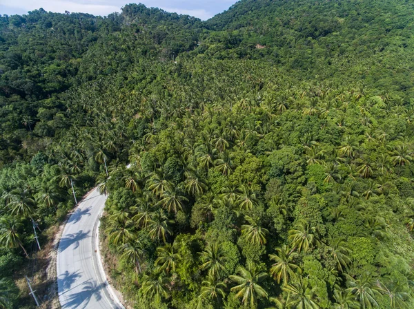 Letecký pohled na silnici v džungli Koh Phangan — Stock fotografie
