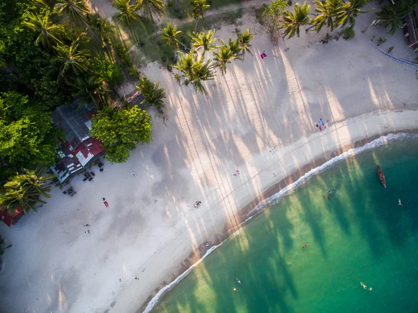 Deniz, palmiye ağaçları ve beach Koh Samui, Tayland Hava görünümünü — Stok fotoğraf