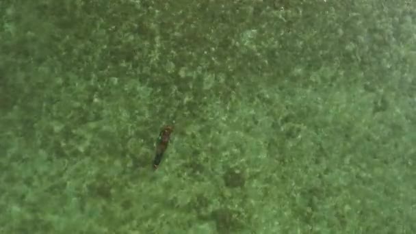 Harpunování volný potápěč pod vodou s ptačí perspektivy — Stock video