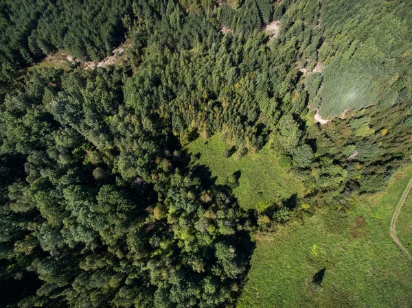 Vue aérienne du champ vert avec forêt en été — Photo