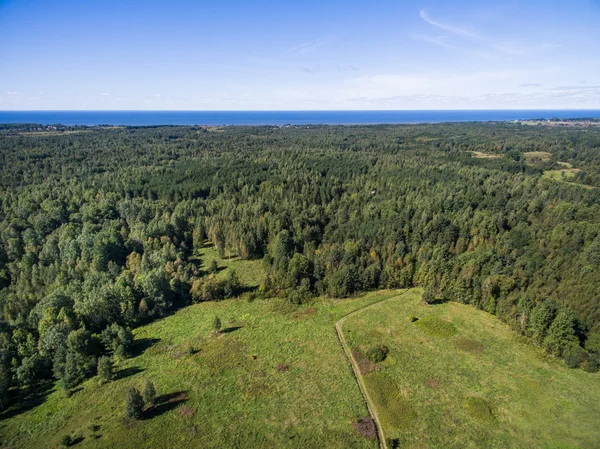 绿色的田野、 森林和普斯科夫地区俄罗斯，在夏天时楚德湖湖鸟瞰图 — 图库照片