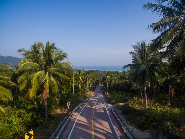 Luftaufnahme eines Motorradfahrers auf einer Straße im Dschungel — Stockfoto