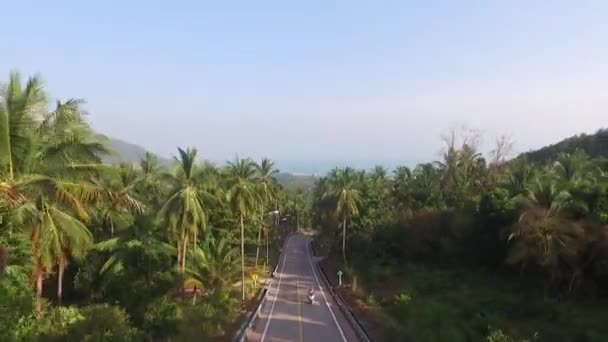 Ormanda bir yolda sürme bir motosikletçi havadan görünümü — Stok video