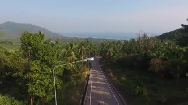 Letecký pohled na motocyklista jízda na silnici v džungli — Stock video