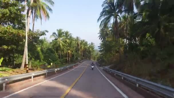 Veduta aerea di un motociclista che guida su una strada nella giungla — Video Stock