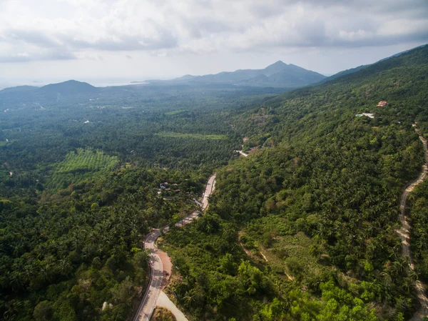 Vue aérienne de la route dans la jungle — Photo