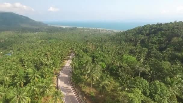 Letecký pohled na silnici v džungli — Stock video