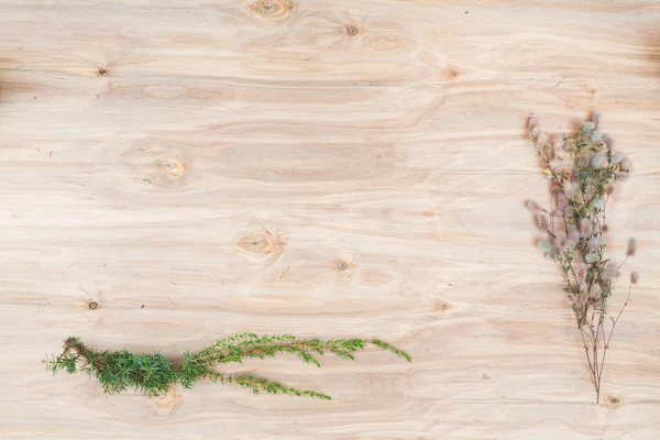 Mínima composición floral de las plantas en el escritorio de madera — Foto de Stock