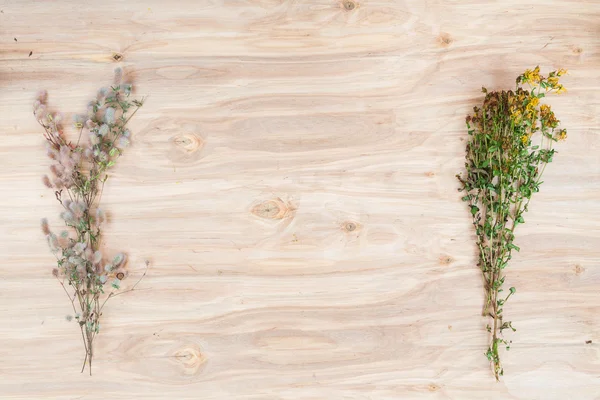 Mínima composición floral de las plantas en el escritorio de madera — Foto de Stock