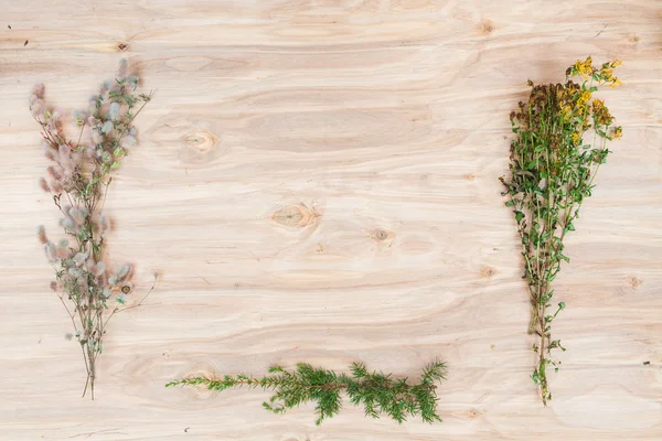 Mínima composición floral de las plantas en el escritorio de madera — Foto de Stock