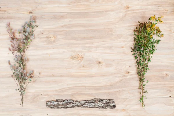 Mínima composición floral de las plantas en el escritorio de madera — Foto de Stock