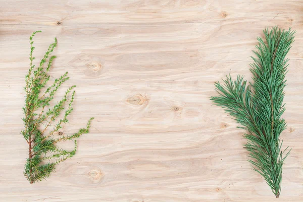 Mínima composición floral de las plantas en el escritorio de madera — Foto de Stock