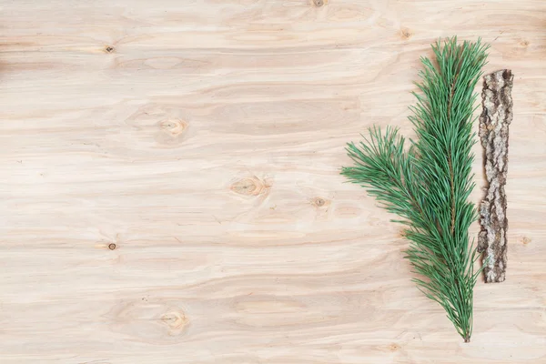 Mínima composición floral de las plantas en el escritorio de madera — Foto de Stock