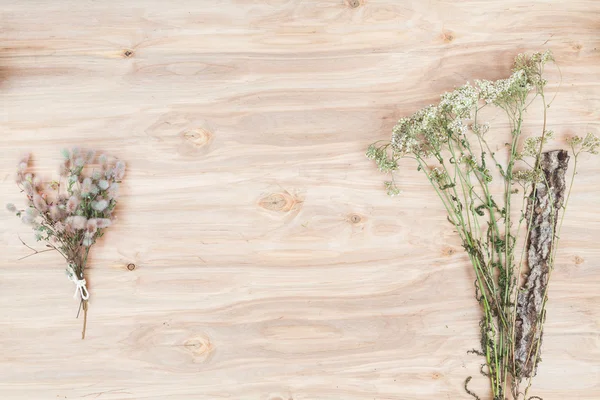 Mínima composición floral de las plantas en el escritorio de madera — Foto de Stock