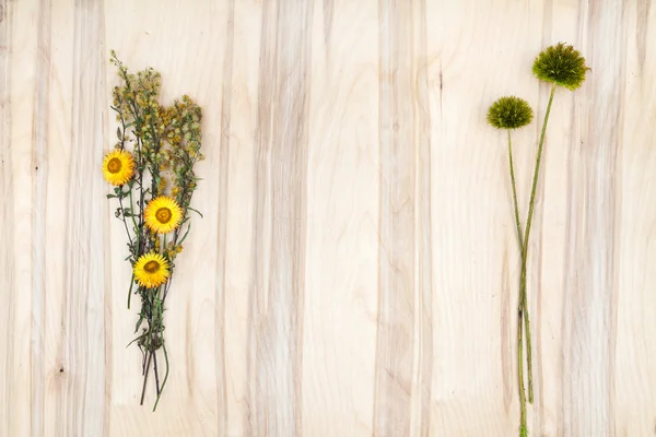 Mínima composición floral de las plantas en el escritorio de madera — Foto de Stock
