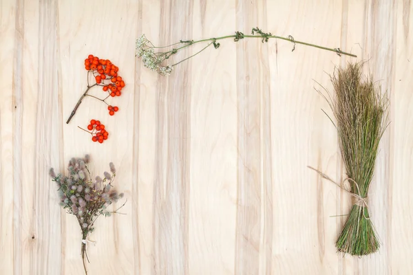 Composición de collage de flores y hierbas secas en escritorio de madera — Foto de Stock