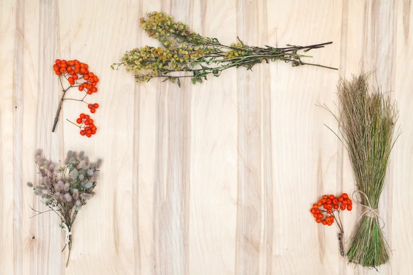 Composición de collage de flores y hierbas secas en escritorio de madera — Foto de Stock