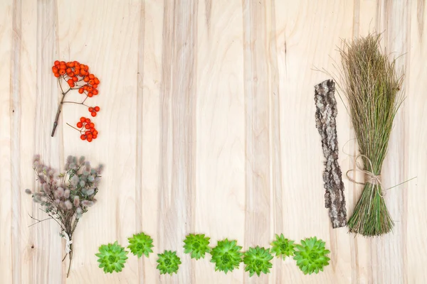 Composición de collage de flores y hierbas secas en escritorio de madera — Foto de Stock
