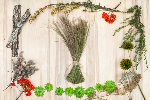 Flores secas e ervas composição colagem na mesa de madeira — Fotografia de Stock