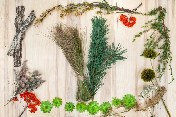 Composición de collage de flores y hierbas secas en escritorio de madera — Foto de Stock