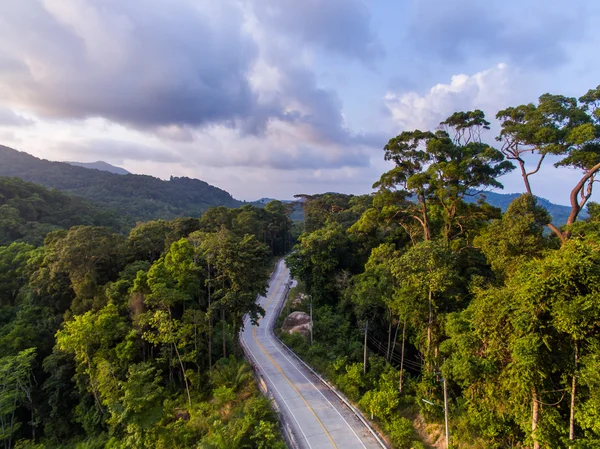 Veduta aerea della strada nella giungla — Foto Stock