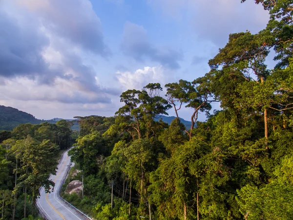 Veduta aerea della strada nella giungla — Foto Stock