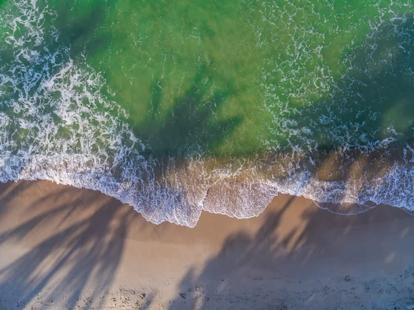 Vista aérea de la playa con sombra de palma — Foto de Stock