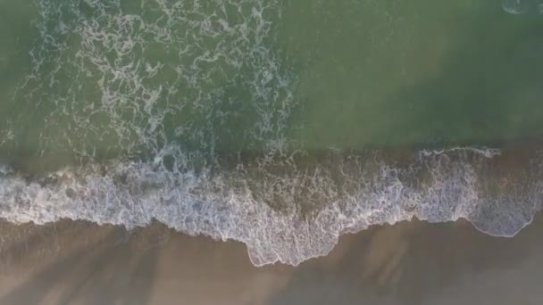 Vista superior de um litoral de praia com ondas — Vídeo de Stock