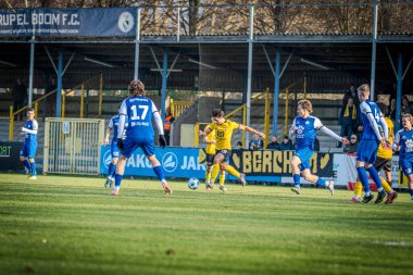 Rupel Boom ve Berchem Sport arasındaki soccergame
