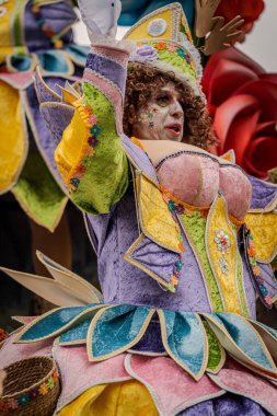 15-02-2026 Aalst yıllık karnaval geçidi sokaklarda