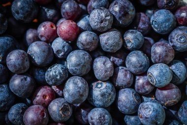 Yüzey dokusunu ve doğal rengini gösteren olgun, sulu yaban mersinlerine yakın çekim. Makro gıda ayrıntıları sağlıklı yemek, meyve ve beslenme kavramları için idealdir.