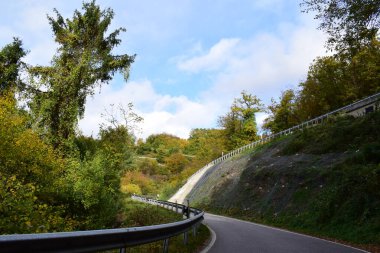 Sonbahar yolu güneşli bir günde ormanda.