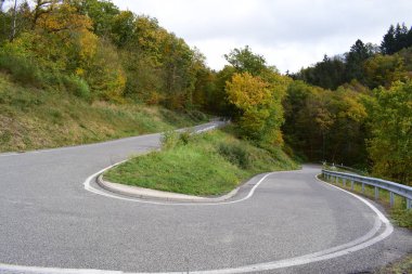 Ormandan geçen bir yol.