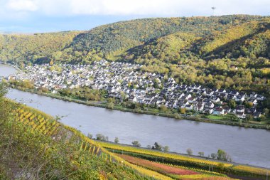 Koblenz 'in bir parçası olan Lay ile sonbaharda Mosel Nehri' nin güzel manzarası.