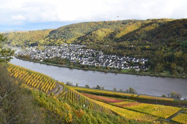 Mosel nehri sonbaharda renkli üzüm bağlarında uzanır.