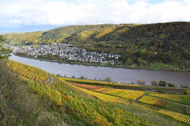Sonbahar boyunca Mosel Vadisi