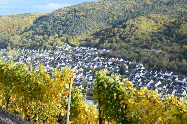 Sonbahar, yakınlardaki Mosel vadisinin üzüm bağlarında.