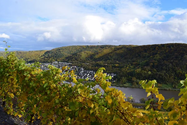Alman Mosel bölgesinde sonbahar.