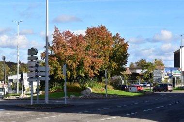 Sonbahar ormanında bir yol tabelası.