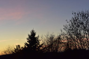 Ormanda güzel bir gün batımı