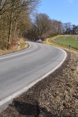 Eifel 'deki ormanda bir yol